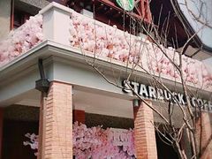 -星巴克臻选(思南公馆店)