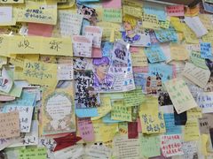 -沉香牛肉面