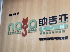 -纳吉亚猫专科动物医院博雅分院
