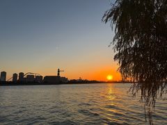 -蟹天蟹地农家菜·阳澄湖大闸蟹(浅水湾店)