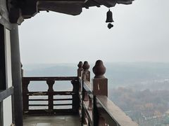 -宜兴龙背山森林公园