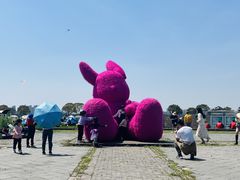 -上海都市菜园