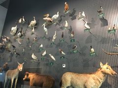 -中国湿地博物馆