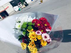 -秦美花卉(天朗·莱茵小城2期店)