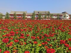 -长春北湖公园