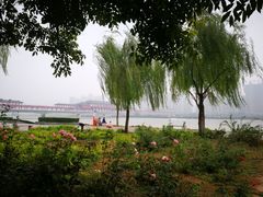 -渭滨公园