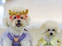 -金茂览秀城