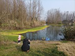 -桤木河湿地公园