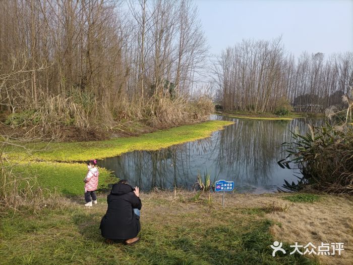 桤木河湿地公园图片