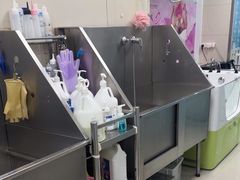 -北京观赏动物医院·24小时大型综合·猫专科·异宠专科