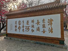 -桃花堤公园