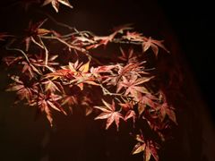 -龙宴海鲜城(经中路店)