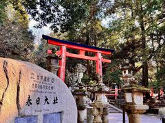 -奈良公园
