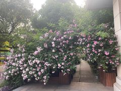 -谷咖啡·鲜花绿植花园餐厅