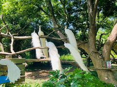 -宁波野生动物园