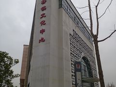 -颛桥镇文体中心-停车场