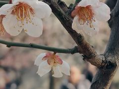-静安雕塑公园