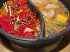 -沸炉重庆老火锅(军事博物馆店)