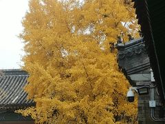 -承恩寺