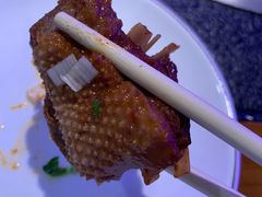 -挂雪铁锅炖大鹅