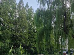 -环城公园