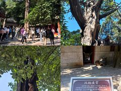 -青岛崂山太清宫