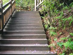 -天燕原始生态旅游区-天门垭景区