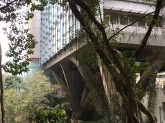 -香港大学
