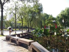 -四川大学(望江校区)