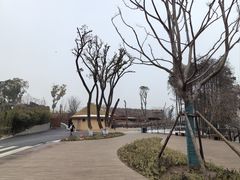 -武汉动物园