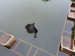 -三岔湖环球融创天堂洲际酒店水乐园