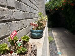 -庐灶江南·江南菜·四合院Bistro(东直门雍和宫·原华侨宾馆店)