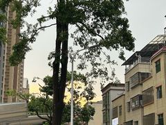 -万达广场(惠州大亚湾店)