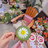 沈阳的春日后花园！！太美好了！！
