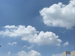 -塔兰齐新疆孜然火锅(鲤鱼山路店)