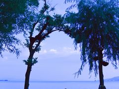 -滇池海埂公园