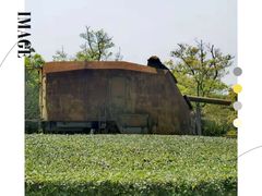 -上海吴淞炮台湾国家湿地公园