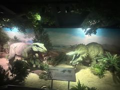 -国家自然博物馆