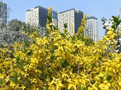 -元大都城垣遗址公园