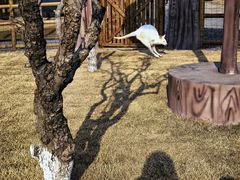 -茅山东方盐湖城景区