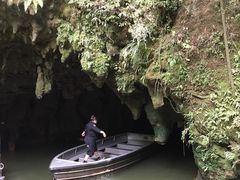 -怀托摩萤火虫洞