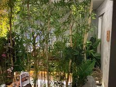 -施奈儿.洗头頭療.按摩SPA.采耳(上梅林店)