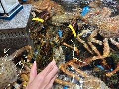 -鹏欣水游城