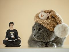 -中粮·祥云小镇