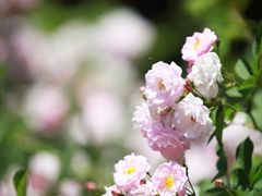 -老门东历史文化街区