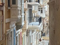 -上巴拉卡花园和下巴拉卡花园