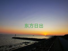-江滩湿地公园