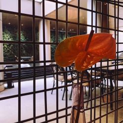 -南京圣和府邸豪华精选酒店-宴会厅婚宴·生日宴·宝宝宴