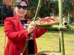 -南宁良凤江国家森林公园