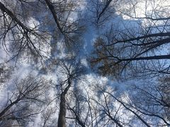 -叠溪松坪沟景区